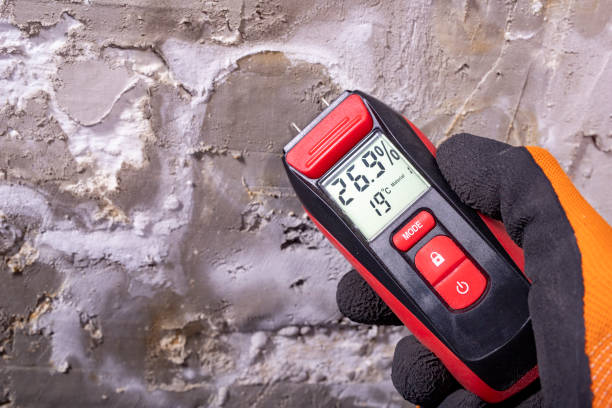 Best Post-Remediation Services in Brown Station, MD